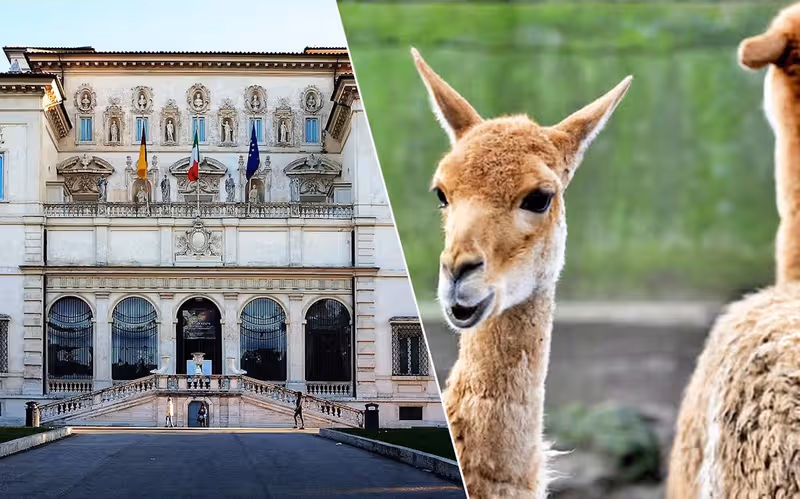 Biglietti Galleria Borghese e Bioparco di Roma