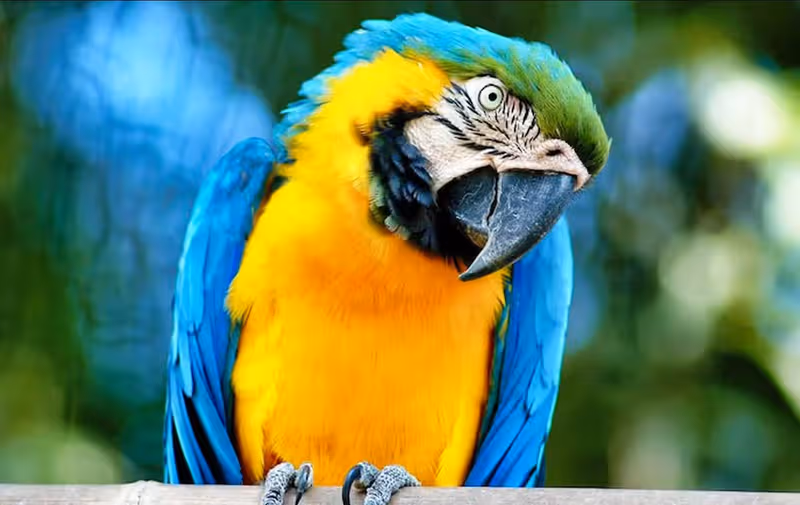 Biglietto per il Bioparco di Roma