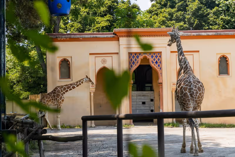 Biglietti Fast Track Roma Bioparco